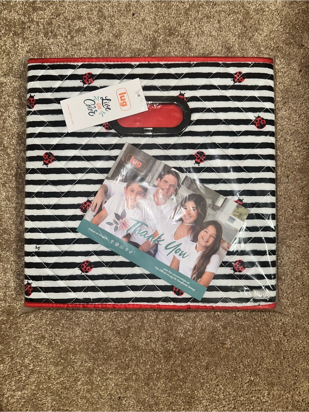 Lug Black & White Striped Cube Bins with Red Ladybug Accents